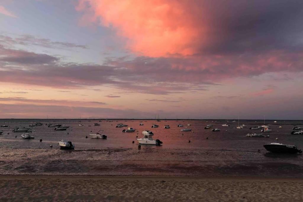 Maison A Arcachon Avec Piscine Hors-Sol المظهر الخارجي الصورة